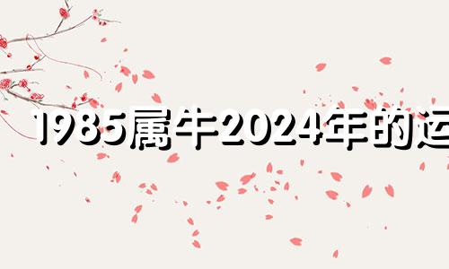 1985属牛2024年的运势 1985属牛人2024年全年运势详解