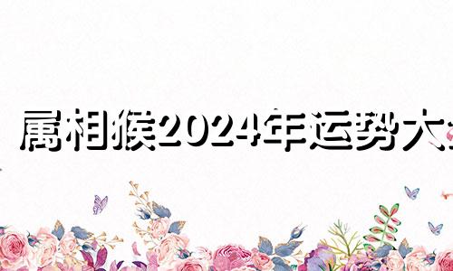 属相猴2024年运势大全 属猴在2024年运势怎么样