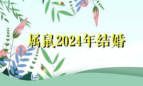 属鼠2024年结婚 属鼠在2024年运势怎么样