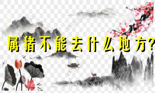 属猪不能去什么地方? 属猪适合去哪个方向