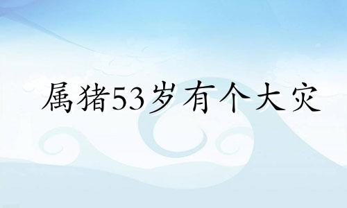 属猪53岁有个大灾 2024属猪人躲不过去的大难