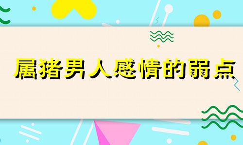 属猪男人感情的弱点 属猪男感情怎么样