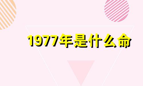 1977年是什么命 1977年属蛇是什么命男