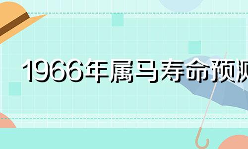 1966年属马寿命预测 1966年属马寿有多高