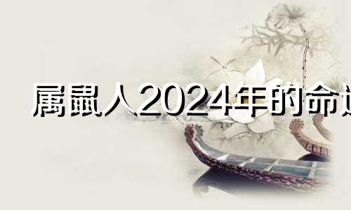 属鼠人2024年的命运 属鼠人2024年全年运势详解