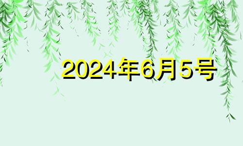 2024年6月5号 2024年6月7日是什么日子