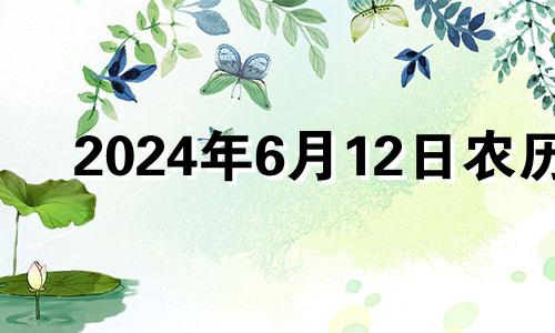 2024年6月12日农历 2024年六月