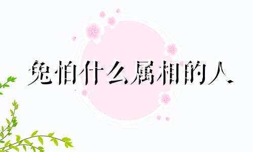 兔怕什么属相的人 属兔的怕属什么的