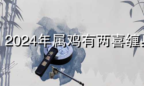 2024年属鸡有两喜缠身 81年的鸡在龙年的运势