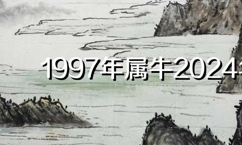 1997年属牛2024年 97年出生2024年多大