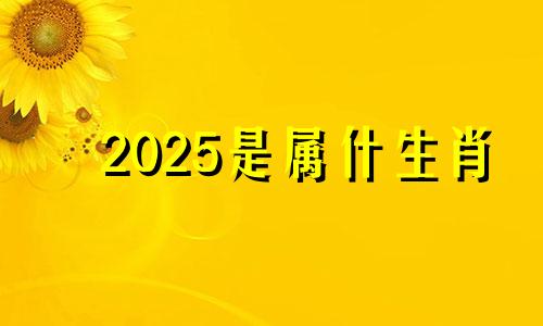 2025是属什生肖 2025是什么生肖年份