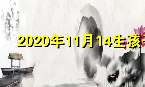 2020年11月14生孩子 2021年11月适合生孩子的日子