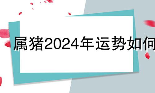 属猪2024年运势如何 2024年属猪人的全年运势详解