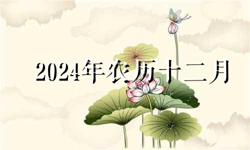 2024年农历十二月 2020阴历十二月十四安葬