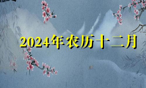 2024年农历十二月 2024年十二月