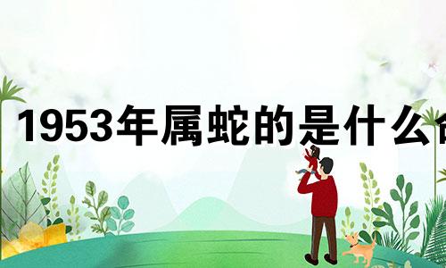 1953年属蛇的是什么命 1952年属龙的是什么命五行