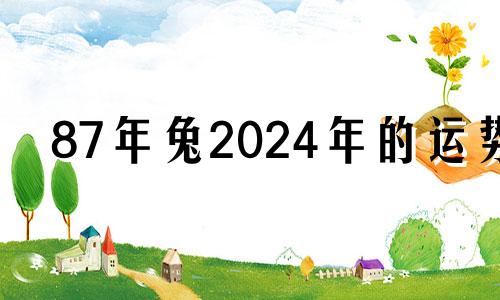 87年兔2024年的运势 1987年是苦命兔还是富兔