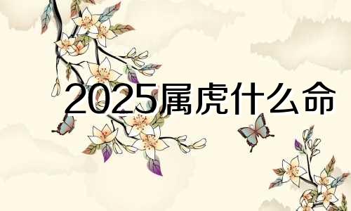 2025属虎什么命 2025属虎多大