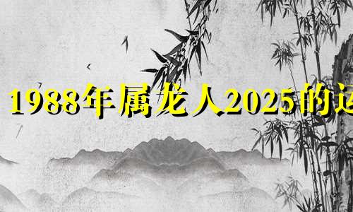 1988年属龙人2025的运势 1988年属龙人2021 未来十年