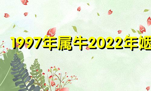 1997年属牛2022年姻缘 2021年属牛1997年婚姻有变动吗