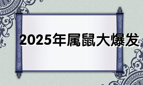 2025年属鼠大爆发