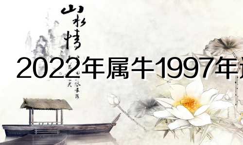 2022年属牛1997年运势 2021年生肖牛1997年运势