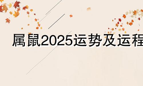 属鼠2025运势及运程 2025属鼠的运气