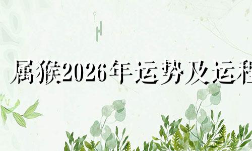 属猴2026年运势及运程 属猴2026年运势及运程详解