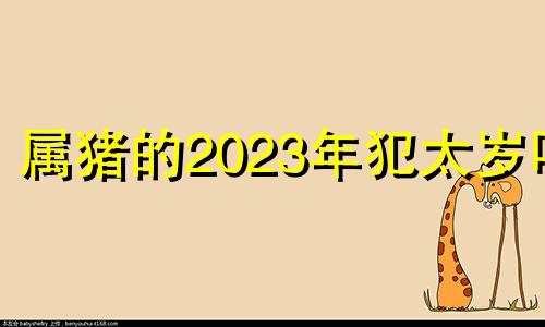 属猪的2023年犯太岁吗 属猪在2025蛇年的运气