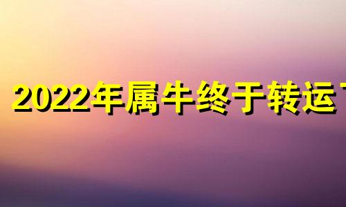 2022年属牛终于转运了 属牛人2021年怎样转运