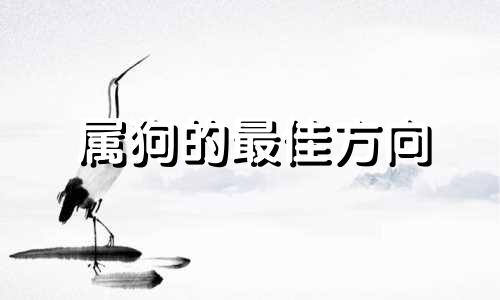 属狗的最佳方向 属狗人什么方位最旺