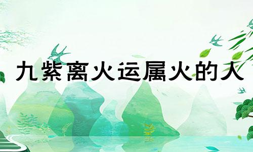 九紫离火运属火的人 九紫离火运对火旺的好吗