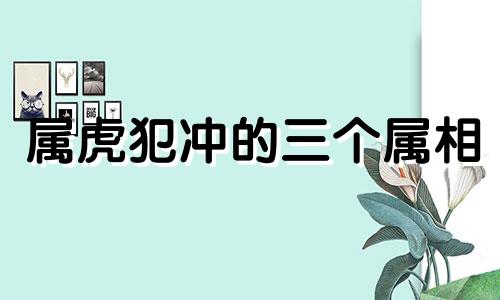 属虎犯冲的三个属相 生肖相冲相克表