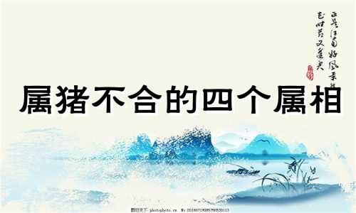 属猪不合的四个属相 属猪人的终身伴侣是谁