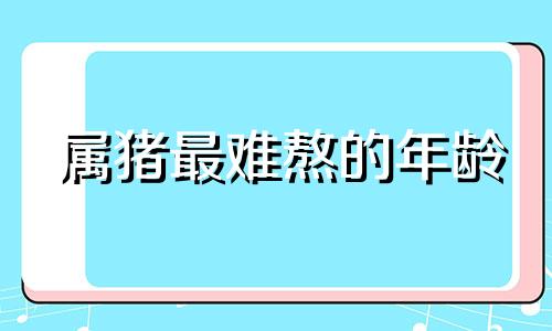 属猪最难熬的年龄 属猪人那一年最不顺