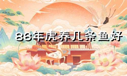 86年虎养几条鱼好 86年的虎能养鱼吗