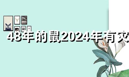 48年的鼠2024年有灾吗 1948年属鼠人