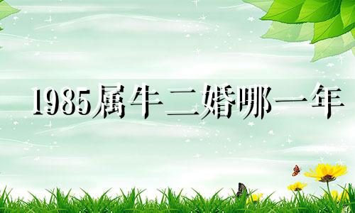 1985属牛二婚哪一年 85牛女与90年马结婚会幸福吗视频