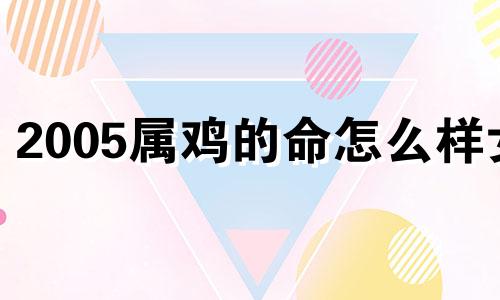 2005属鸡的命怎么样女 2005年的鸡的命运