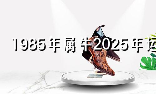 1985年属牛2025年运势 2025年属牛人命运