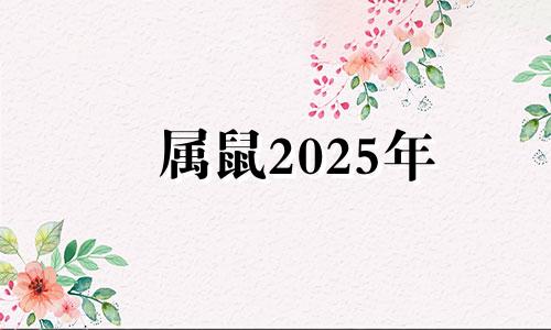 属鼠2025年 属鼠人2025