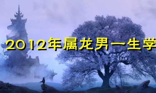 2012年属龙男一生学业 2012年属龙男孩运势