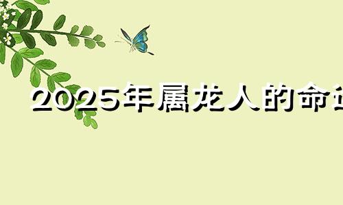 2025年属龙人的命运 属龙人在2025年的运势