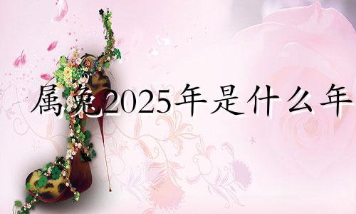 属兔2025年是什么年 2025年兔子