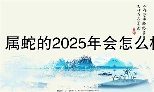 属蛇的2025年会怎么样 属蛇人2025年