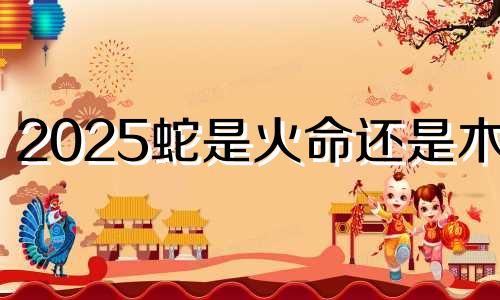 2025蛇是火命还是木命 2025蛇年是什么命