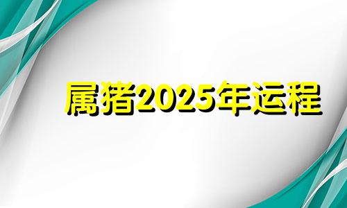 属猪2025年运程 属猪的2025年的高考会怎么样